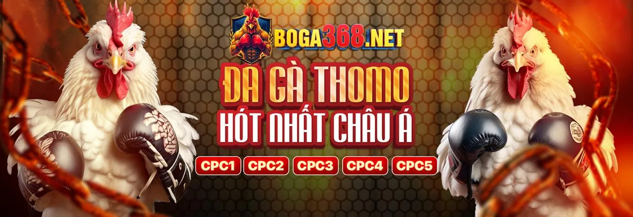 Sân đấu đá gà trực tuyến bec88 sôi động