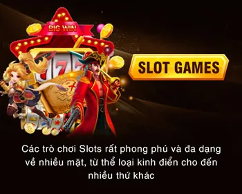 Hình ảnh đa dạng trò chơi